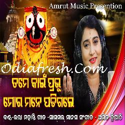 Tame Kahai Pravu Mane Padi Gale